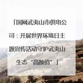 国网武夷山市供电公司：开展世界环境日主题宣传活动守护武夷山生态“高颜值”