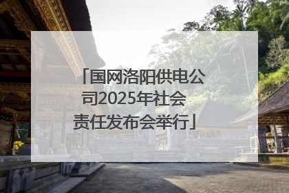 国网洛阳供电公司2025年社会责任发布会举行