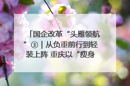 国企改革“头雁领航”③｜从负重前行到轻装上阵 重庆以“瘦身”谋“健体”