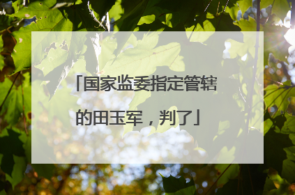 国家监委指定管辖的田玉军，判了