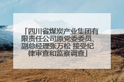 四川省煤炭产业集团有限责任公司原党委委员、副总经理张万松 接受纪律审查和监察调查