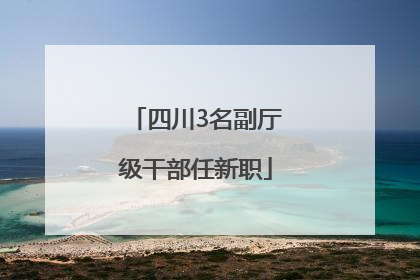 四川3名副厅级干部任新职