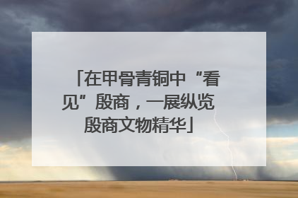 在甲骨青铜中“看见”殷商，一展纵览殷商文物精华