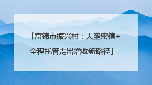 富锦市振兴村：大垄密植+全程托管走出增收新路径