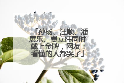 孙杨、汪顺、潘展乐、费立纬同时戴上金牌，网友：看懂的人都哭了