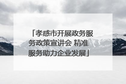 孝感市开展政务服务政策宣讲会 精准服务助力企业发展
