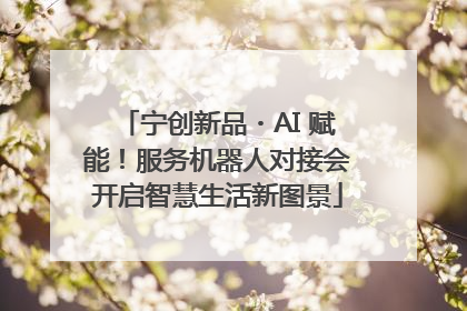 宁创新品・AI 赋能！服务机器人对接会开启智慧生活新图景
