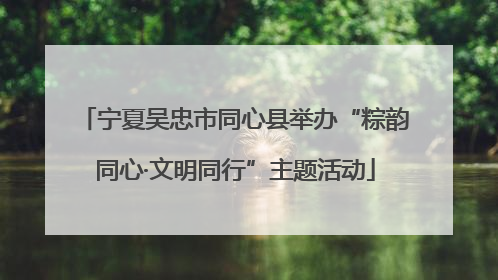 宁夏吴忠市同心县举办“粽韵同心·文明同行”主题活动