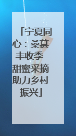 宁夏同心：桑葚丰收季 甜蜜采摘助力乡村振兴