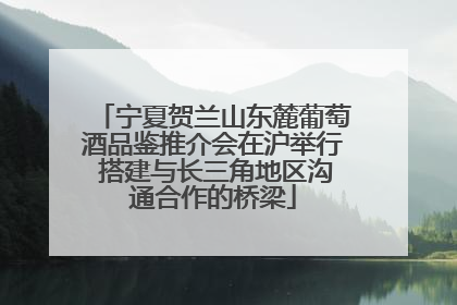 宁夏贺兰山东麓葡萄酒品鉴推介会在沪举行 搭建与长三角地区沟通合作的桥梁