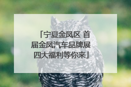 宁夏金凤区 首届金凤汽车品牌展四大福利等你来