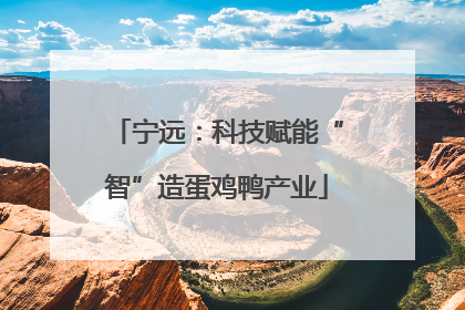 宁远：科技赋能“智”造蛋鸡鸭产业