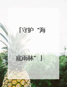 守护“海底雨林”