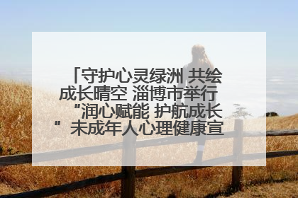 守护心灵绿洲 共绘成长晴空 淄博市举行“润心赋能 护航成长”未成年人心理健康宣传教育主题活动