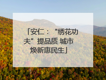 安仁：“绣花功夫”提品质 城市焕新惠民生
