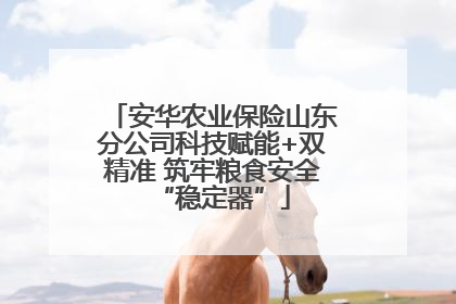 安华农业保险山东分公司科技赋能+双精准 筑牢粮食安全“稳定器”