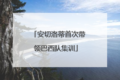 安切洛蒂首次带领巴西队集训