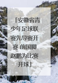 安徽省青少年足球联赛先导赛开赛 前国脚赵鹏为比赛开球