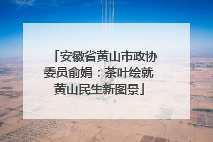安徽省黄山市政协委员俞娟：茶叶绘就黄山民生新图景