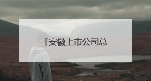 安徽上市公司总数达186家