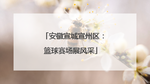 安徽宣城宣州区：篮球赛场展风采