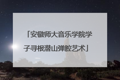 安徽师大音乐学院学子寻根潜山弹腔艺术