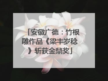 安徽广德：竹根雕作品《梁丰岁稔》斩获金鼎奖