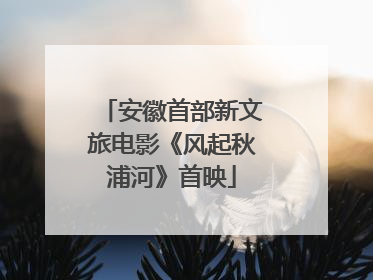 安徽首部新文旅电影《风起秋浦河》首映