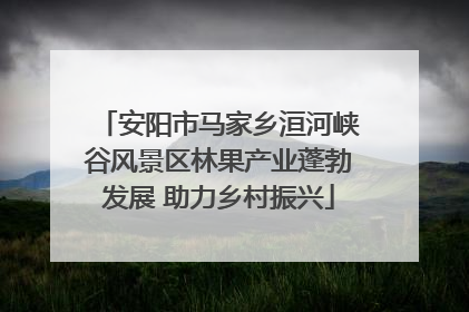 安阳市马家乡洹河峡谷风景区林果产业蓬勃发展 助力乡村振兴
