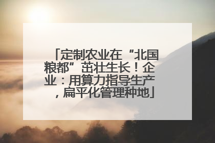 定制农业在“北国粮都”茁壮生长！企业：用算力指导生产，扁平化管理种地