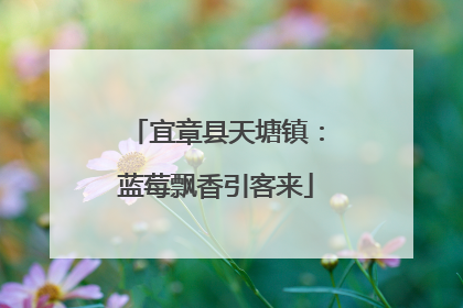 宜章县天塘镇：蓝莓飘香引客来