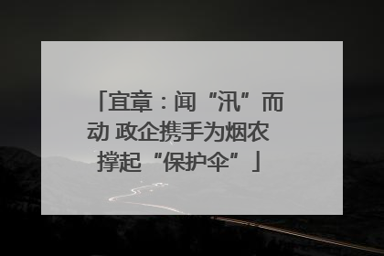 宜章：闻“汛”而动 政企携手为烟农撑起“保护伞”