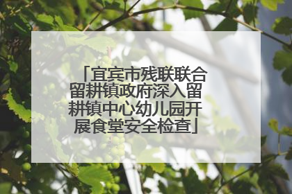 宜宾市残联联合留耕镇政府深入留耕镇中心幼儿园开展食堂安全检查