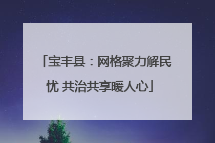 宝丰县：网格聚力解民忧 共治共享暖人心