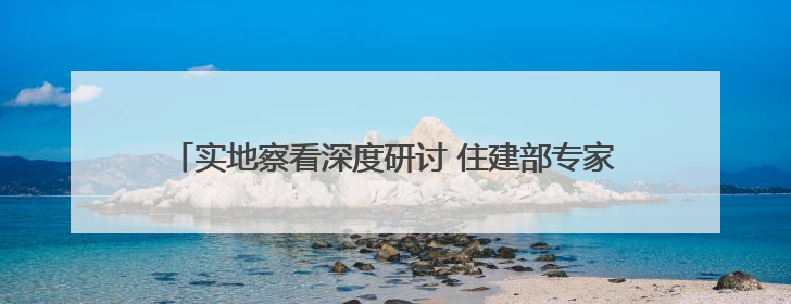 实地察看深度研讨 住建部专家组实地复核城阳城市更新项目