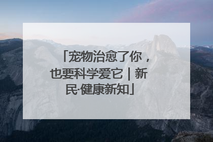 宠物治愈了你，也要科学爱它｜新民·健康新知