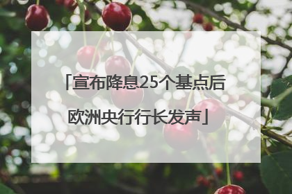 宣布降息25个基点后 欧洲央行行长发声