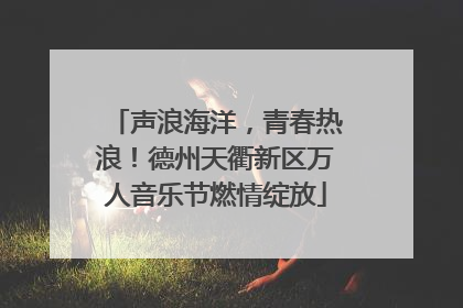 声浪海洋，青春热浪！德州天衢新区万人音乐节燃情绽放