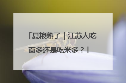 夏粮熟了｜江苏人吃面多还是吃米多？