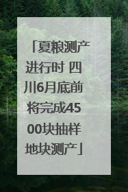 夏粮测产进行时 四川6月底前将完成4500块抽样地块测产