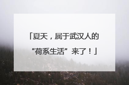 夏天，属于武汉人的“荷系生活”来了！
