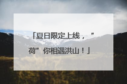 夏日限定上线，“荷”你相遇洪山！