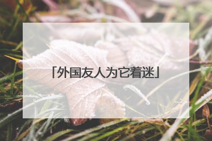 外国友人为它着迷