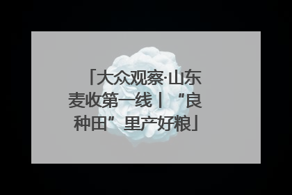 大众观察·山东麦收第一线丨“良种田”里产好粮