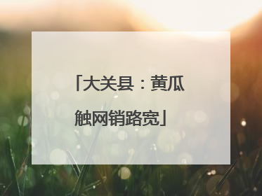 大关县：黄瓜触网销路宽