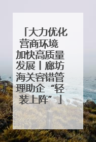 大力优化营商环境 加快高质量发展丨廊坊海关容错管理助企“轻装上阵”