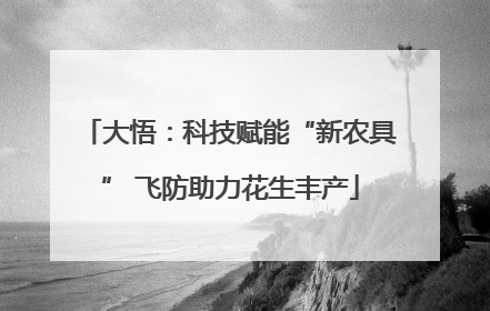 大悟：科技赋能“新农具” 飞防助力花生丰产