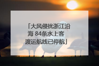 大风侵扰浙江沿海 84条水上客渡运航线已停航
