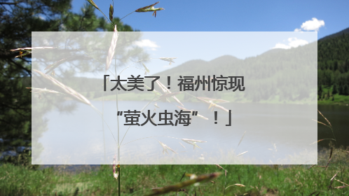 太美了！福州惊现“萤火虫海”！
