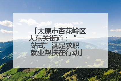 太原市杏花岭区大东关街道：“一站式”满足求职 就业帮扶在行动